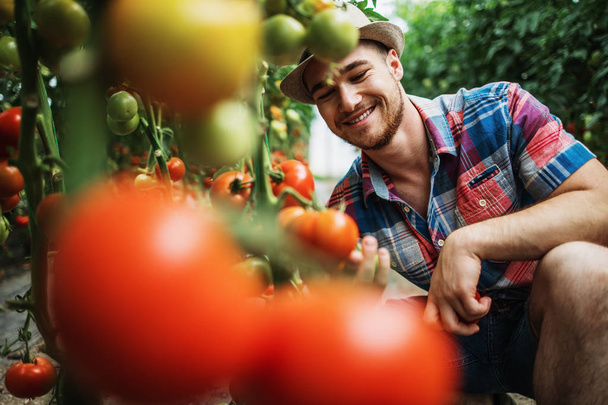 Happy and smiling young adult man working in greenhouse. - Foto, imagen