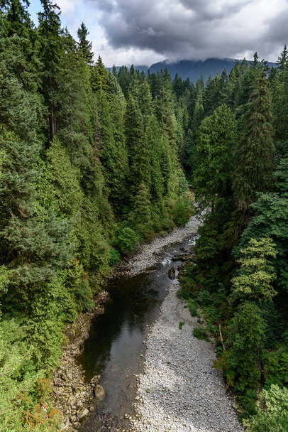 Capilano River, Vancouver, Canada, running through a lush, wooded valley, with mountains in the background. The day is cloudy. - Valokuva, kuva