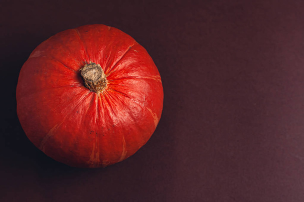Stock photo of a pumpkin on a brown background with place for text. Varietal seasonal pumpkins. - 写真・画像