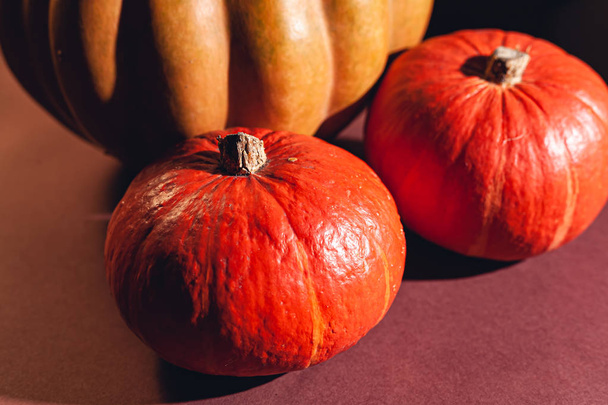 Stock photo pumpkin close-up, assorted pumpkins. Big and small size pumpkins and different colors, on a brown background. - 写真・画像
