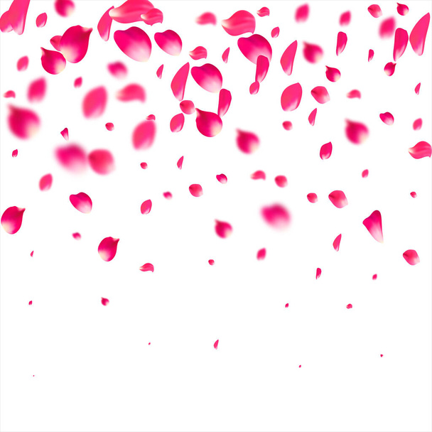 Różowe płatki spadające latają. Sakura kwiat pastel tekstury tło. - Wektor, obraz