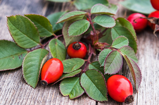 Red berries and rosehip leaves on a wooden table. C - Photo, Image