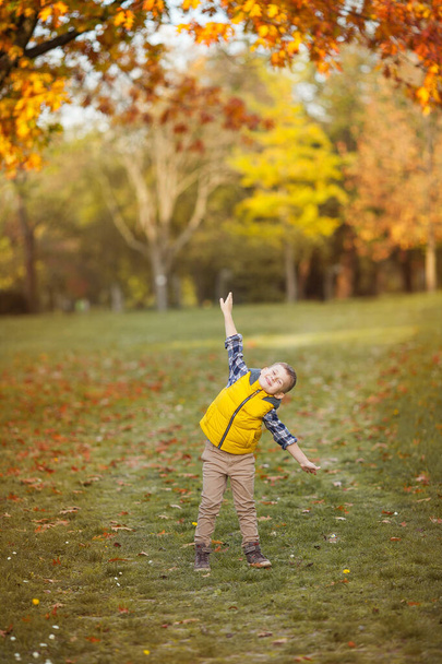 Pequeño niño lindo 5 años de edad camina en el jardín de otoño. Retrato de un niño feliz en ropa brillante, otoñal.Otoño cálido y brillante
. - Foto, imagen