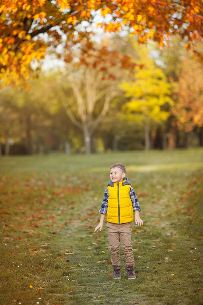 Pequeno menino bonito 5 anos de idade caminha no jardim de outono. Retrato de um menino feliz em brilhante, roupas de Outono.Outono quente e brilhante
. - Foto, Imagem