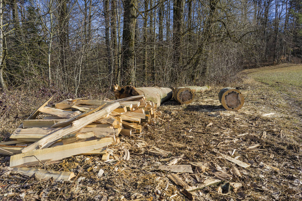 Gezaagd, gespleten hout, stammen liggen in de weide. - Foto, afbeelding
