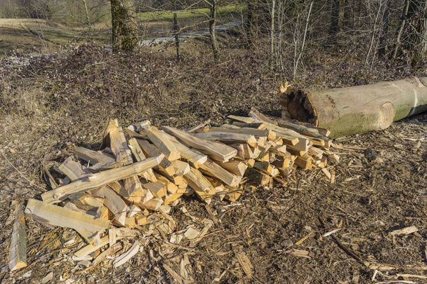 Aserrado, madera partida, troncos yacen en el prado
. - Foto, imagen