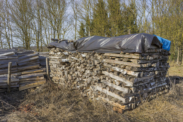 Sawn, split wood, trunks lie in the meadow. - Photo, Image