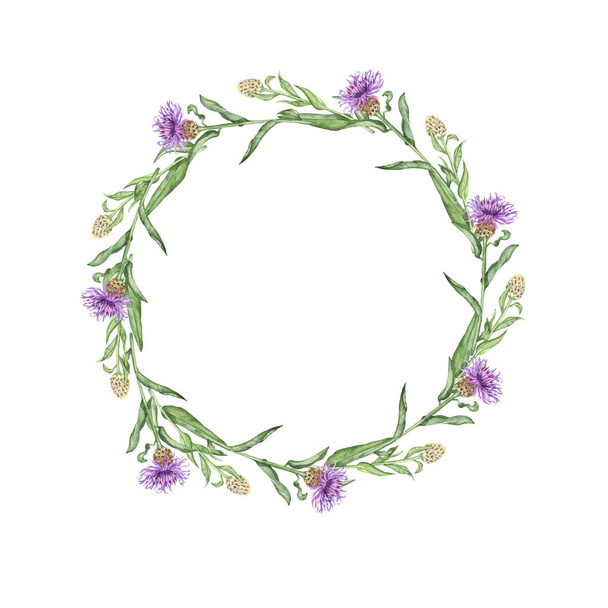 Purple summer flowers frame isolated on white background. Hand drawn watercolor illustration. - Foto, Imagen