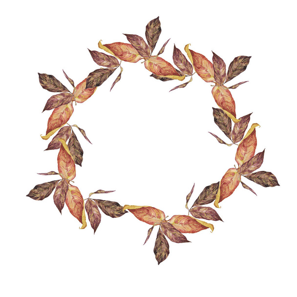 Autumn red and brown leaf frame isolated on white background. Hand drawn watercolor illustration. - Photo, image