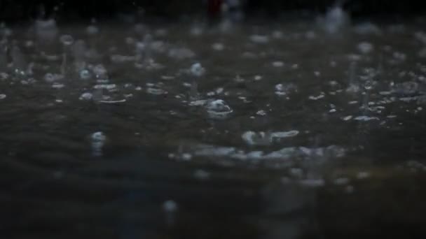 Regen fällt in die Herbst-Zeitlupe - Filmmaterial, Video