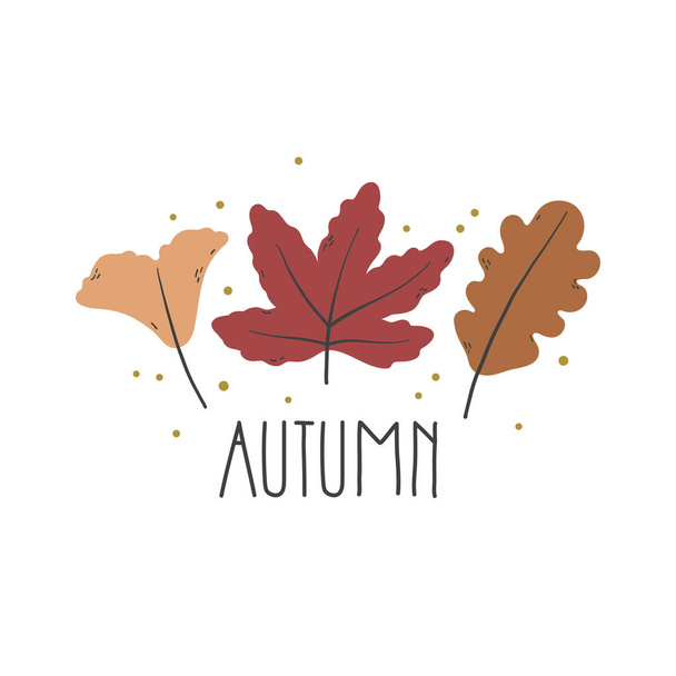 autumn background with brown leaves - Vector, Imagen