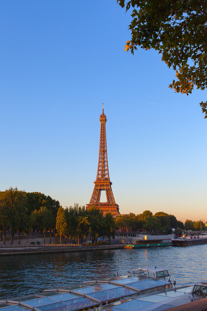 Wieża Eiffel, Paryż. - Zdjęcie, obraz