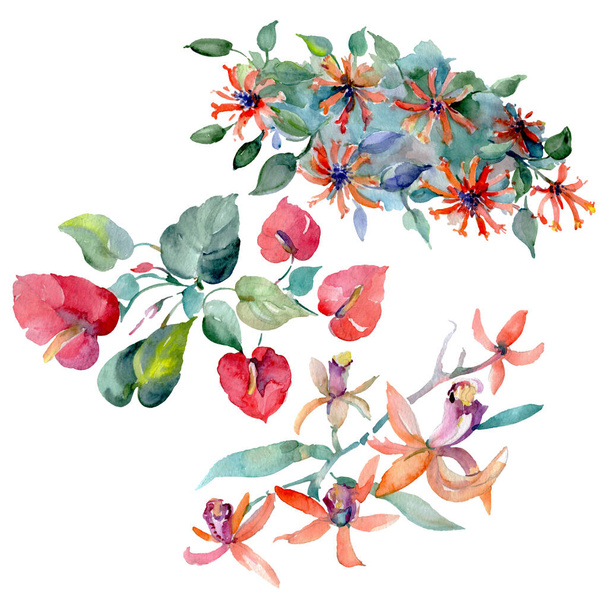 Blumenstrauß botanische Blumen. Aquarell Hintergrundillustration Set. isolierte Blumensträuße Illustrationselement. - Foto, Bild
