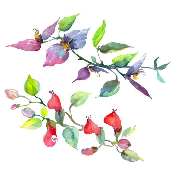Bouquet floral botanical flowers. Watercolor background illustration set. Isolated bouquets illustration element. - Fotó, kép