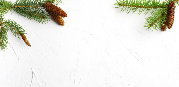 Christmas background with fir tree branches and pine cones on wh - Photo, Image