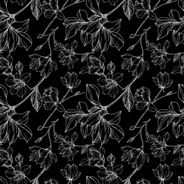 Vector Magnolia floral botanical flowers. Black and white engraved ink art. Seamless background pattern. - Vecteur, image