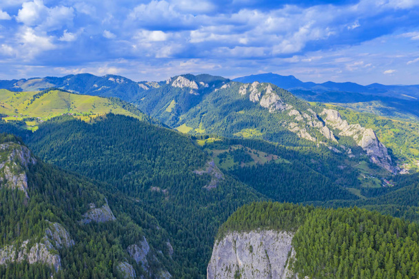 Rocky mountain and green forest - Valokuva, kuva