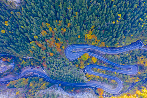 Sonbahar ormanı ve yol manzarasının üstünde - Fotoğraf, Görsel