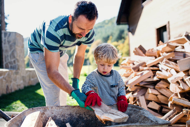 A father and toddler boy outdoors in summer, putting firewood in wheelbarrow. - Foto, afbeelding