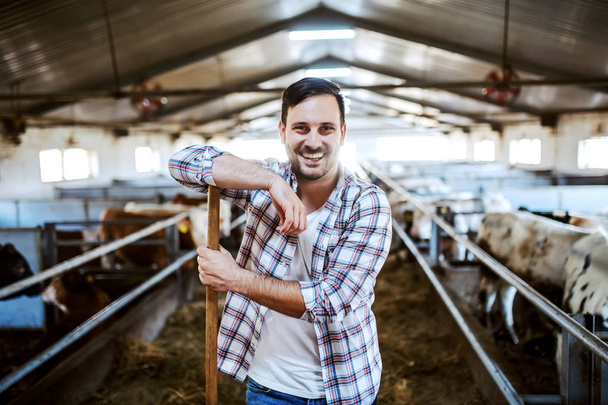 Handsome smiling caucasian farmer leaning on hay fork and looking at camera. In background are calves. Stable interior. - Photo, Image