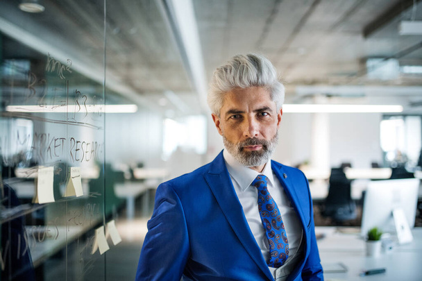 A portrait of mature businessman standing in an office, looking at camera. - Fotoğraf, Görsel