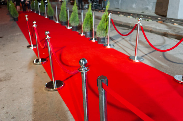 Red carpet at an exclusive event. Award ceremony red carpet Festive event or celebrity entrance concept. - Photo, Image