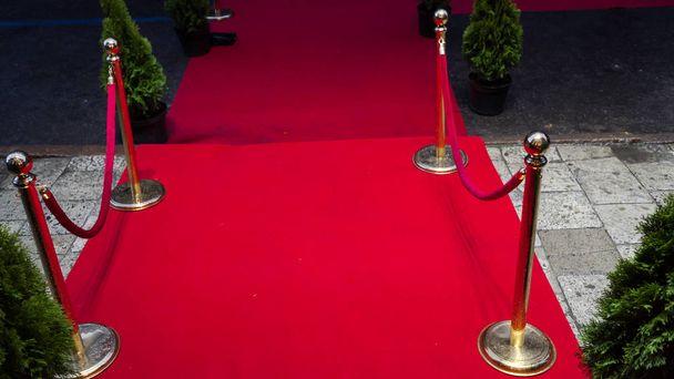 Red carpet at an exclusive event. Award ceremony red carpet Festive event or celebrity entrance concept. - Photo, Image