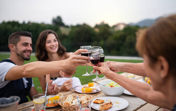Portrait of people with wine outdoors on family garden barbecue. - Фото, зображення
