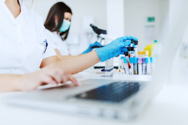 Naislaboratorio-avustaja, joka käyttää kannettavaa tietokonetta tietojen syöttämiseen ja toisessa kädessä pitää koeputkea verinäytteellä istuessaan laboratoriossa
. - Valokuva, kuva