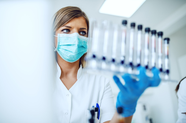 Asistente de laboratorio femenina que usa el portátil para la entrada de datos y en otros tubos de ensayo con muestras de sangre mientras está sentada en el laboratorio
. - Foto, imagen