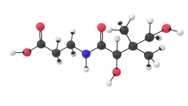 Animação 3D de uma molécula de vitamina B5 com camada alfa
 - Filmagem, Vídeo