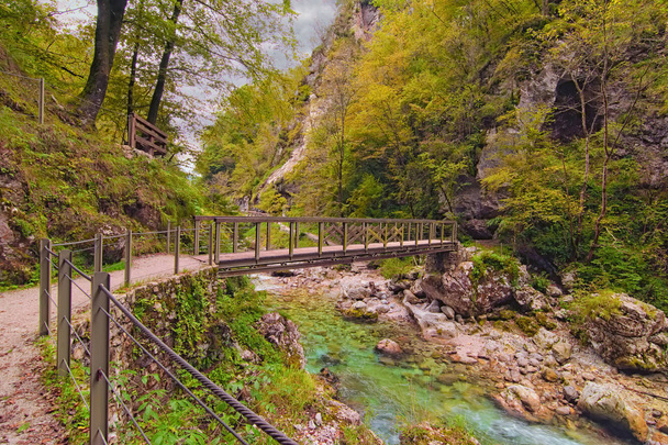 Caminho estreito e sinuoso com a ponte sobre Tolmin Gorge (Tolminska Korita). Localiza-se no extremo sul do Parque Nacional de Triglav. Conceito de paisagem e natureza. Tolmin. Soca Valley, Eslovénia
 - Foto, Imagem