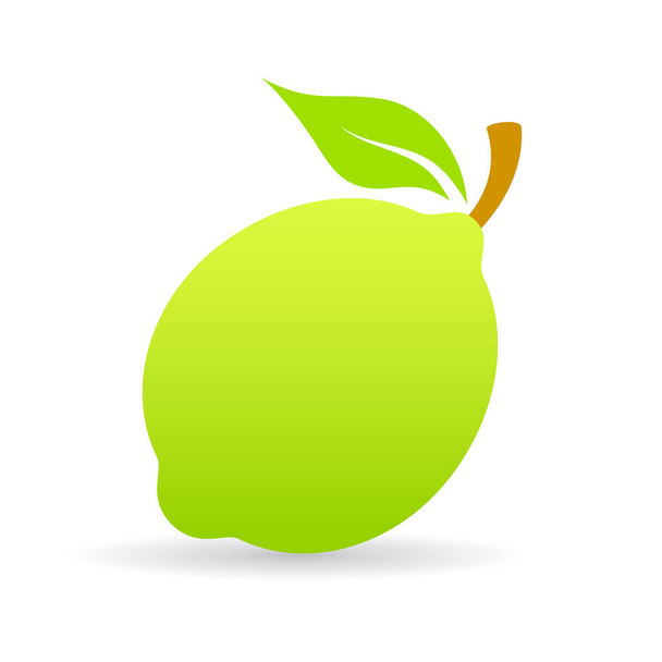Green lime vector icon - Vector, imagen