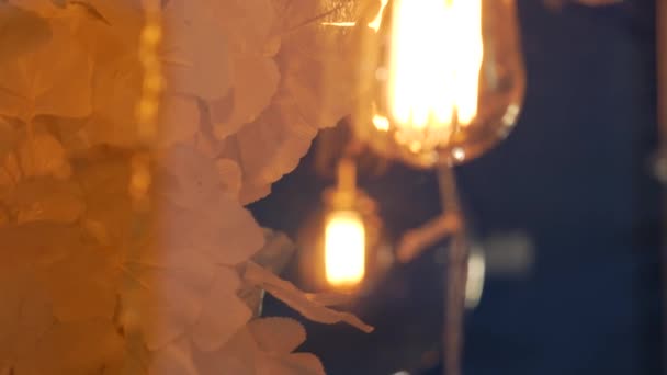 Storefront con ahorro de energía led elegante brillante brillante lámpara de vidrio claro
 - Imágenes, Vídeo