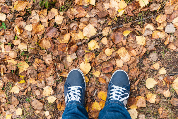 Hoja de otoño textura y botas
 - Foto, imagen