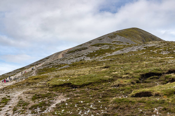 Sentiero, Rocce e vegetazione a Croagh Patrick montagna
 - Foto, immagini
