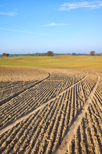 Вид на вспаханное поле под теплым утренним солнцем
 - Фото, изображение