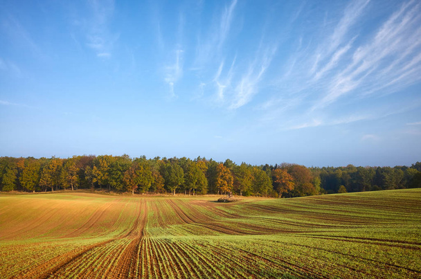 畑や森のある秋の風景 - 写真・画像