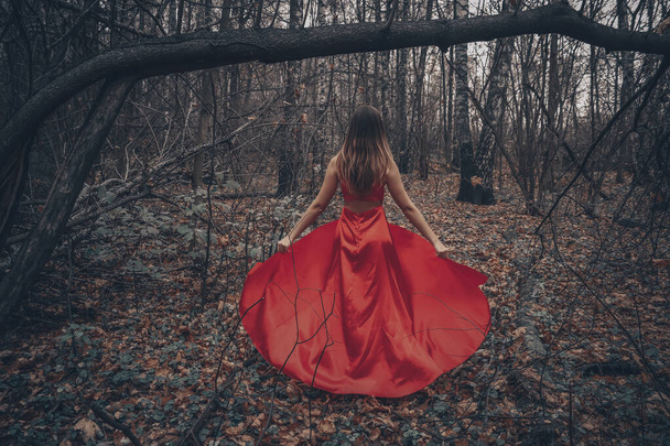 Young beautiful woman in the long red dress is walking along foggy mysterious forest - Foto, Bild