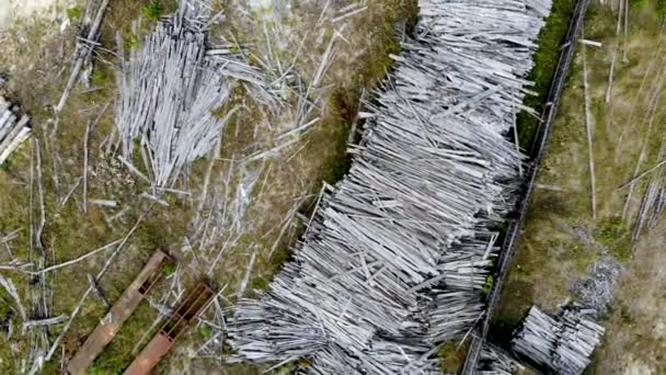 Rundflug über das alte Sägewerk. Holzarbeiten schaden der Ökologie. Per Drohne aufgenommen - Filmmaterial, Video