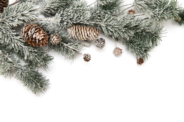 branch of fir-tree and cone on a white background closeup - Fotó, kép