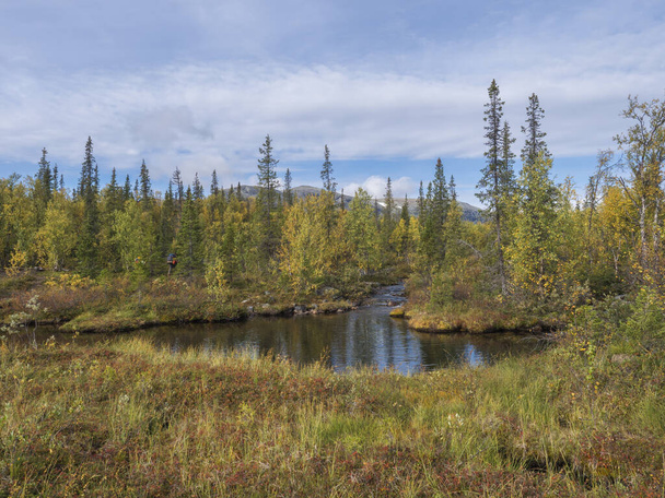 Landschap van het nationaal park Sarek in Zweden Lapland met waterstroom, bergtoppen, berken- en sparrenbos. Vroege herfst kleuren, blauwe lucht witte wolken. - Foto, afbeelding