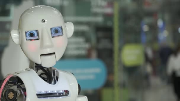 Talking humanoid android robot - Footage, Video