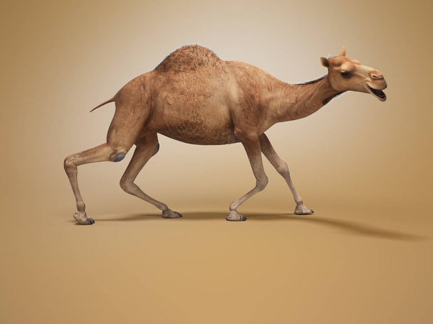 Kameli heikko jalat 3d renderöinti oranssi tausta varjo
 - Valokuva, kuva