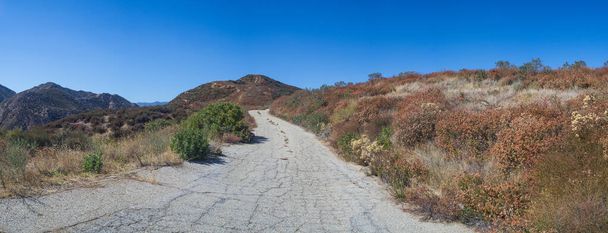 Route d'accès dans la forêt nationale de Los Padres
 - Photo, image