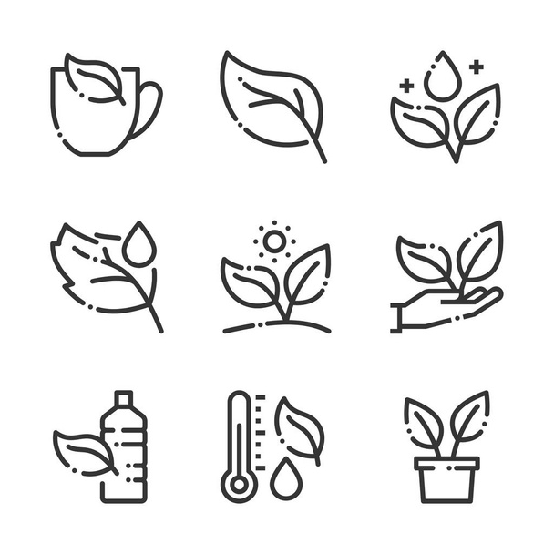 Levél és növények kapcsolatos, merész vonal ikonok. Az illusztrációk a vízről, gondozásról, kertészkedésről, környezetvédelemről, természetről szólnak.. - Vektor, kép
