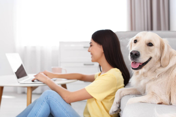 Young woman and her Golden Retriever dog in living room - Φωτογραφία, εικόνα