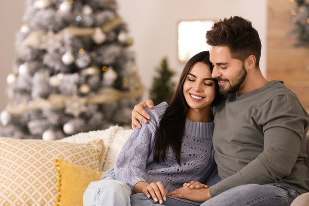 Happy couple in living room decorated for Christmas - 写真・画像