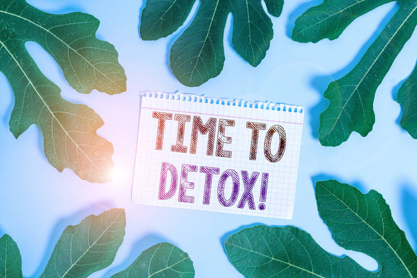 Word writing text Time To Detox. Business concept for when you purify your body of toxins or stop consuming drug Leaves surrounding notepaper above an empty soft pastel table as background. - Photo, Image
