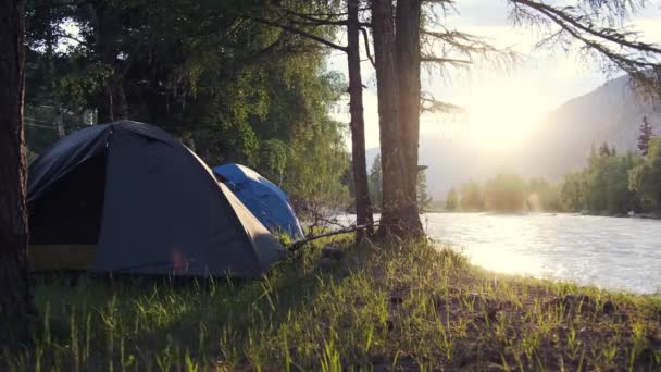 Twee tenten in een ochtendbos aan de oever van een bergrivier - Video